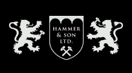 Hammer And Son Logo